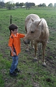 Kids_Bluebonnets2013 (128)